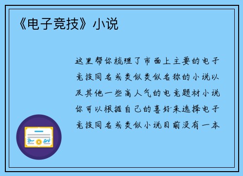 《电子竞技》小说